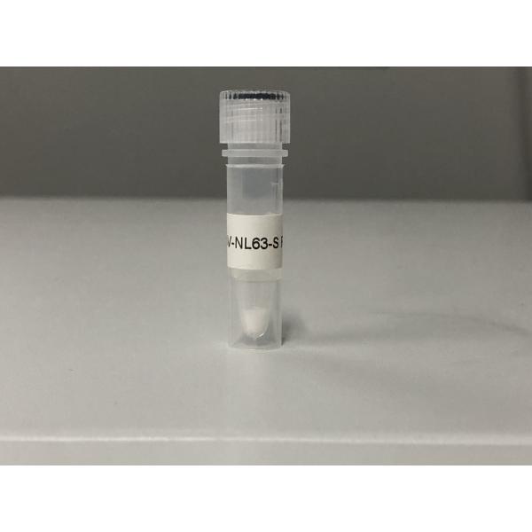 生物素耦联 HisTag 标记 hCoV-NL63 刺突 S 蛋白受体结合区